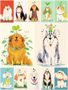 an image of dogs with hats and flowers on their heads in different poses, all sitting down