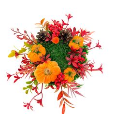 an arrangement of autumn flowers and leaves arranged in a circle on a white background with copy space