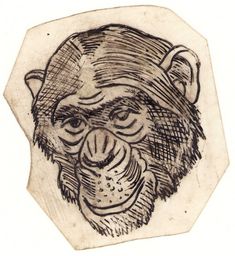 an ink drawing of a monkey with a hat on it's head and nose