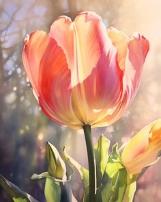 a painting of two pink and yellow tulips with sunlight shining in the background