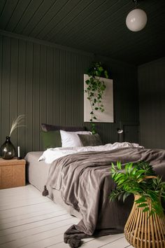 a bed sitting in a bedroom next to a green plant on top of a wooden floor