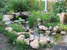 a small pond surrounded by rocks and plants