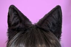 // Cat Apparel, Wolf Ears, Cat Cosplay, Snk Cosplay, Mew Mew, Fox Ears