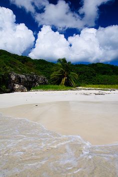 a sandy beach with white sand and trees in the background