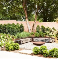 an outdoor garden with various plants and trees