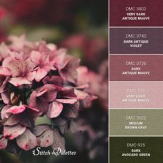 a bunch of flowers that are in some color swatches