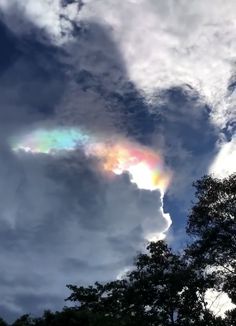 there is a rainbow in the sky above some trees and clouds that are very bright