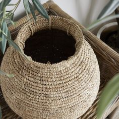 a basket that has some plants in it