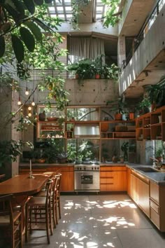 an open kitchen with lots of plants in it