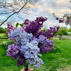 purple and blue flowers are in a vase on the grass