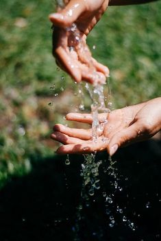 two hands reaching out to touch water from a sprinkler in the grass