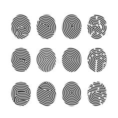 six fingerprints with different shapes and sizes