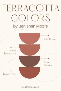 the different shades of terracotta colors are shown in this graphic style, including brown and