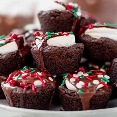 chocolate cupcakes with white frosting and sprinkles on a plate