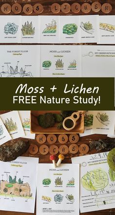 Moss and lichen nature study for kids Moss Nature Study, Mossy Book Activities, Mushroom Unit Study Free, Middle School Unit Studies, Free Mushroom Printables, Forest School Classroom, Nature Journal Kids