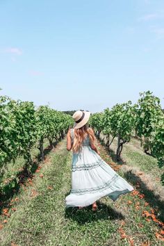 a woman in a white dress and hat walking through an orchard with vines on both sides