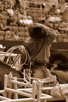 Joel Bach - Team Roper Team Ropers Rodeo Cowboys, Rancho Life, Roping Horse, Cowboy Photography, Team Roper, Cowboy Life, Rodeo Cowboys