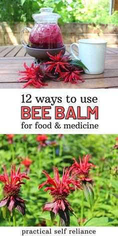 bee balm for food and medicine is shown in three different pictures with the words, 12 ways to use bee balm for food and medicine