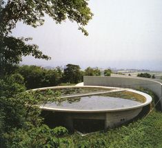 the circular pool is surrounded by greenery and concrete walls, which give it an architectural feel