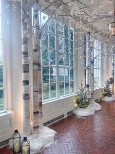 a room filled with lots of windows covered in white lights and decorated christmas tree branches