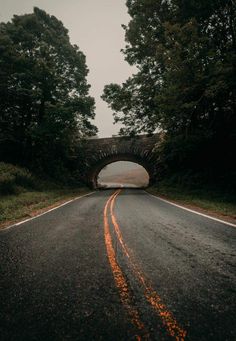 an empty road going under a bridge in the woods