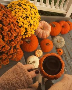 a person holding a cup of coffee in front of some pumpkins and mumbers