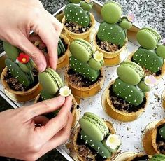 ¿Cactus hechos con macarons? Las sorpresas no paran. Cactus Cakes, Kue Macaroon, Pavlova, Macaroons, Cake Cookies, Just Desserts, Cake Pops