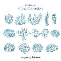 hand drawn coral collection in blue ink