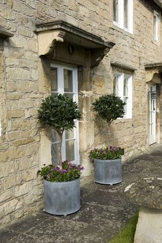 two potted plants in front of a stone building