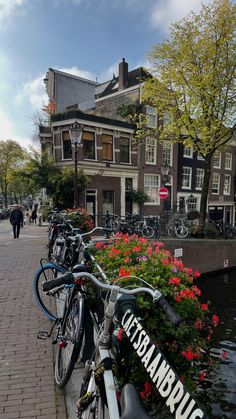 several bicycles are parked along the side of a canal in front of some buildings and flowers