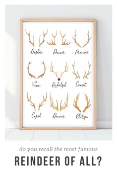 a poster with different types of deer antlers on it's face and names