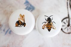 two yellow and black bees sitting on top of white plates