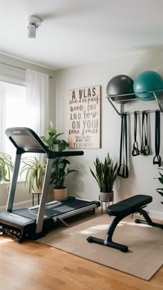 a home gym with treadmills, exercise equipment and potted houseplants