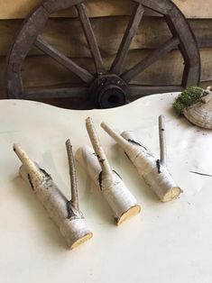 four pieces of birch are on the table next to a wagon wheel and potted plant