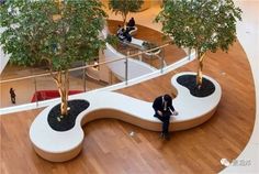 a man is sitting on a bench in the middle of a building with trees growing out of it