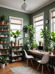 a room with lots of potted plants on the wall and a desk in front of two windows