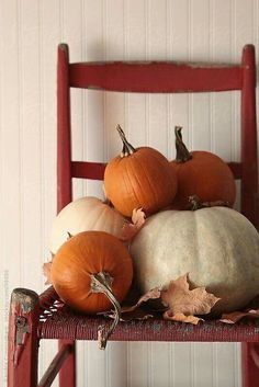 several pumpkins are sitting on a red chair