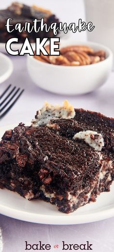 Forget the cake mix, we’re making earthquake cake from scratch! With ribbons of cream cheese, coconut, pecans, and plenty of chocolate flavor, this is definitely a cake that will rock your world. Earthquake Cake Recipe, Earthquake Cake Recipes, Earthquake Cake, Cake From Scratch, Crunchy Pecans, Favorite Dessert, Simply Recipes