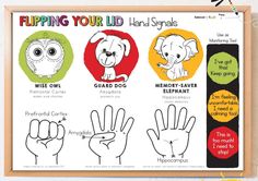 Flip Your Lid Brain Activity, Adolescent Therapy, Behavior Intervention Plan, Brain System, Brain Based Learning, Guidance Counseling, Social Emotional Activities, Mental Health Activities, Counseling Kids