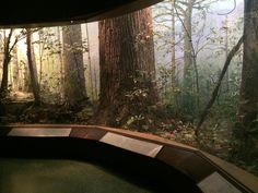 the inside of a museum with trees and water in it's display case,