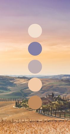 an image of a field with circles in the sky and trees on the other side