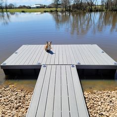 a dog sitting on top of a wooden dock