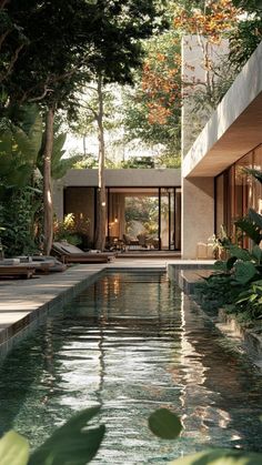 an outdoor swimming pool surrounded by trees and greenery in front of a modern home