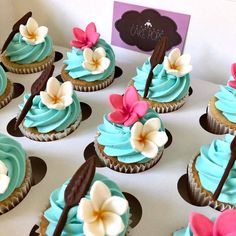 cupcakes decorated with blue frosting and pink flowers