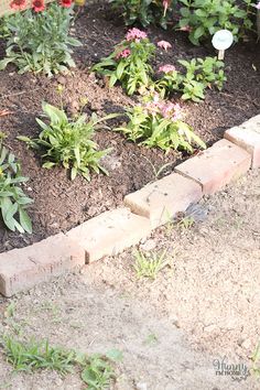 the garden is full of flowers and plants with dirt on the ground in front of it