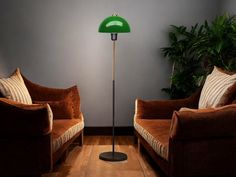 two brown couches and a green floor lamp in a room with wood floors, plants and grey walls