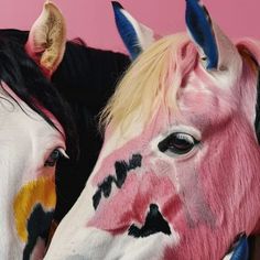 two horses with their faces painted pink and white, standing next to each other in front of a pink wall