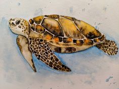 a watercolor painting of a sea turtle