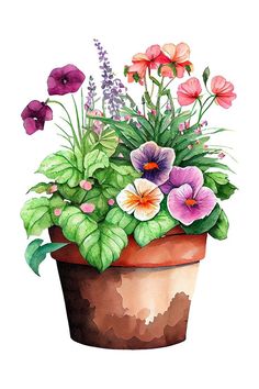 a potted plant with pink and purple flowers