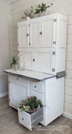 a white cabinet with some plants in it